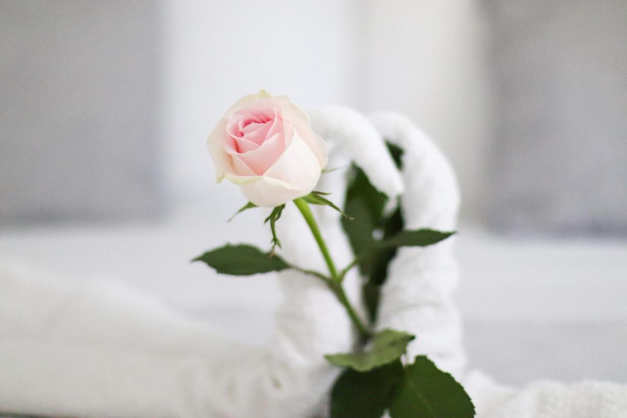Villa Aurora B&B Bari Ngoại thất bức ảnh